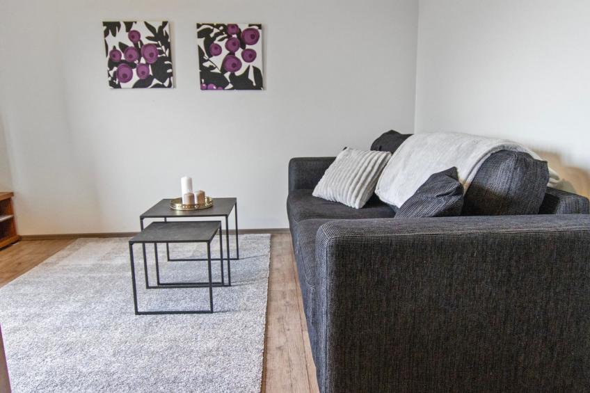 Skivillas 47 ukkohalla (a8) - foto 9