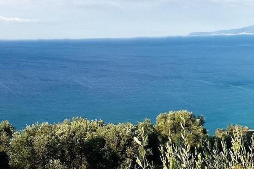 Wohnung mit Parkplatz und Panoramablick - foto 15