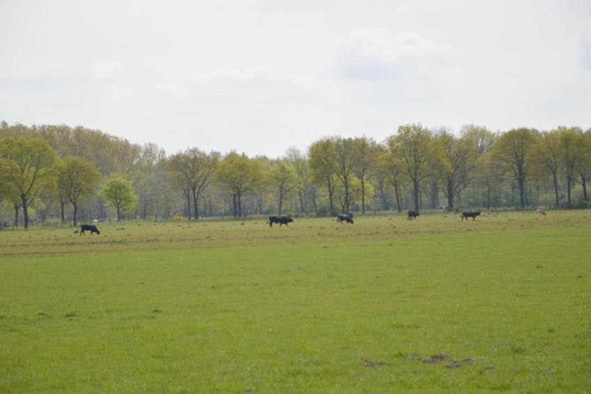 Bungalow 87 - foto 28