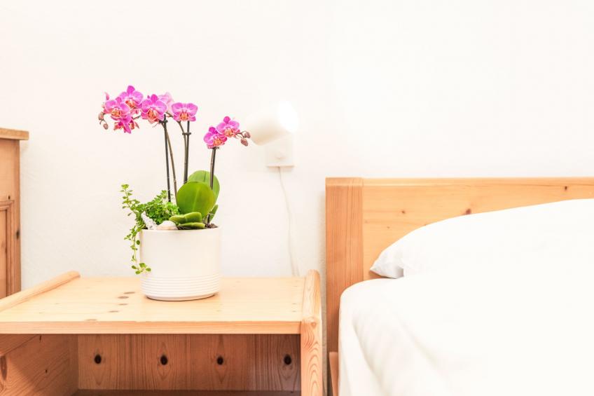 Morteratsch & Grisch - foto 25