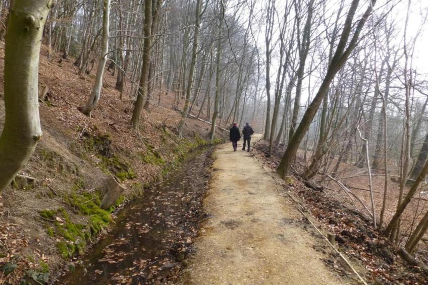 De Riethorst - foto 39