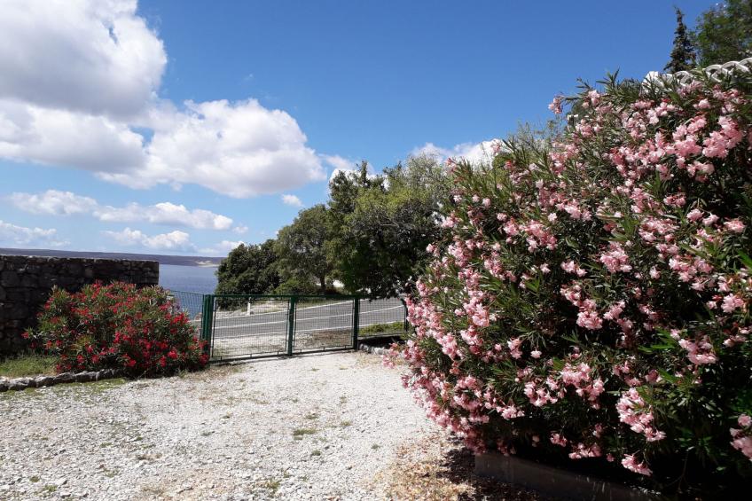 mit Meerblick - foto 4