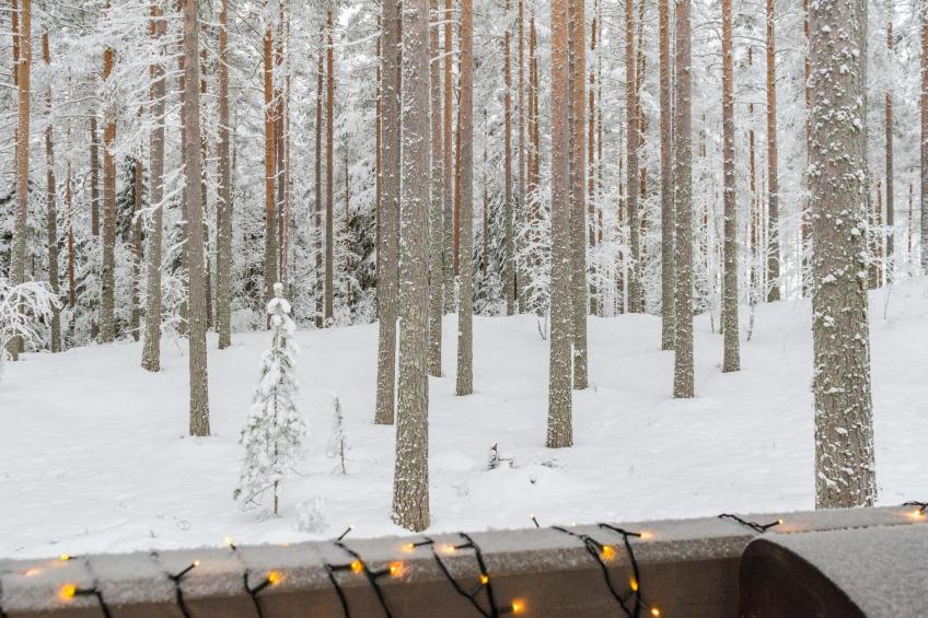 Piin pirtti - foto 22