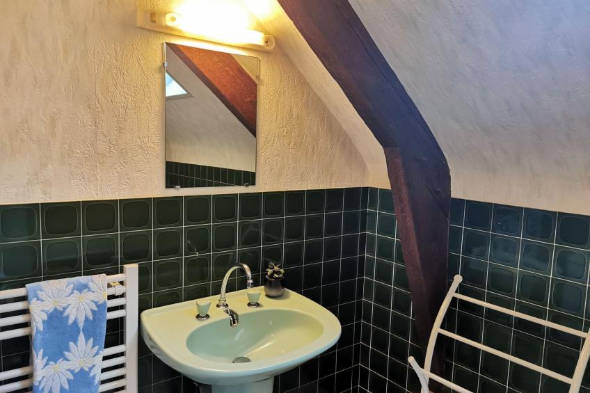 La maison bleue - foto 25