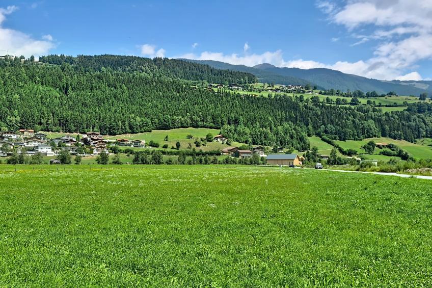 Mitteregg (MII350) - foto 41