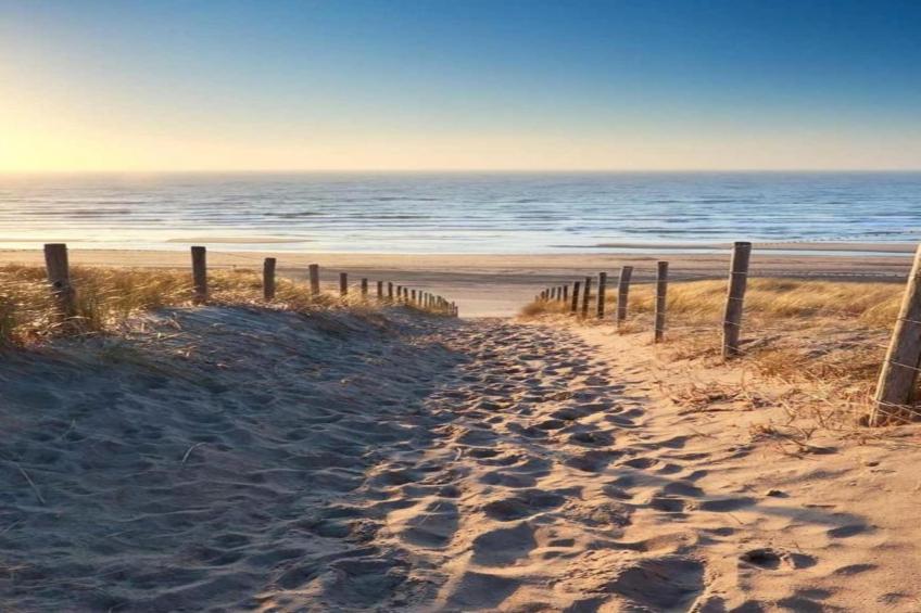 Fort den Haak - Chalet 1 tm 5  hond - foto 35