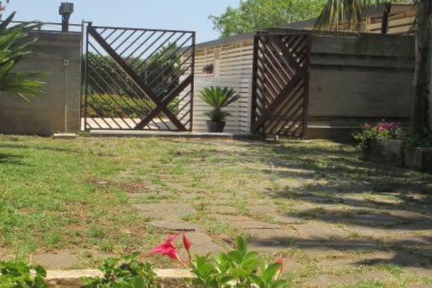 Cuore di Palme Bilo - foto 13