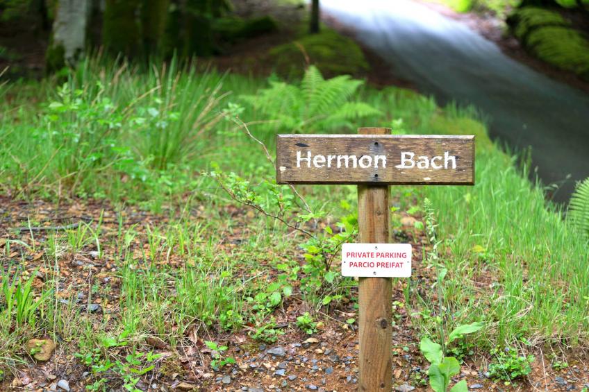 Hermon Bach - foto 23