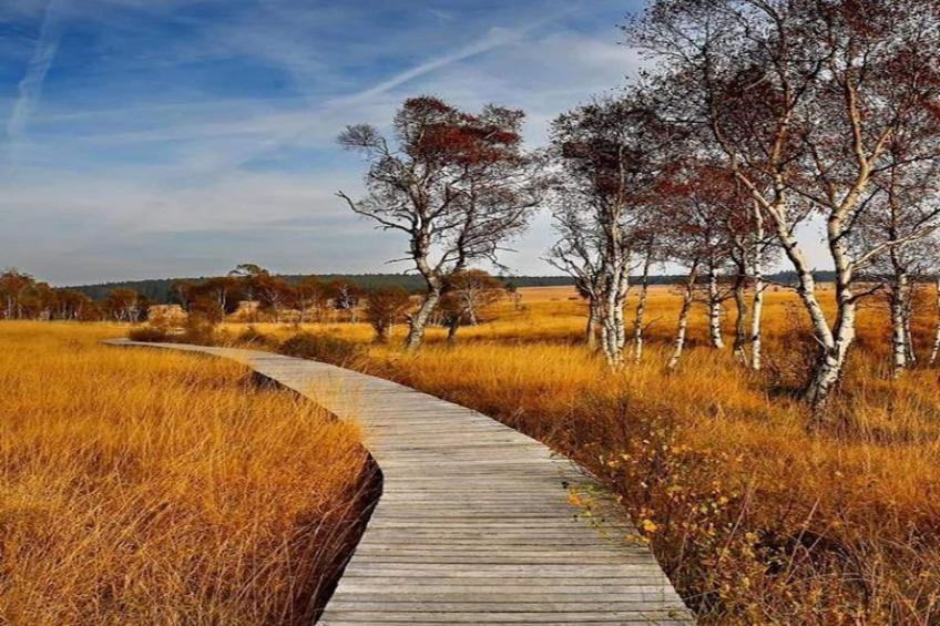 Le Chateau de Balmoral - 34 pers - foto 29