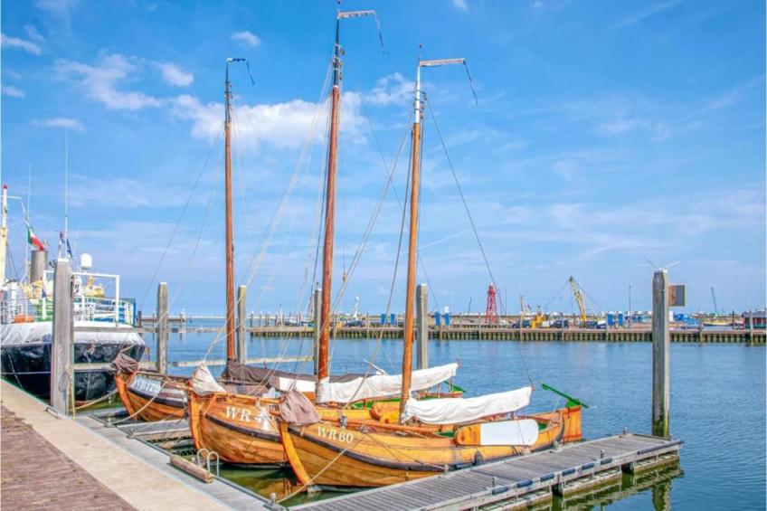 Recreatiepark Wiringherlant - Wiringher Villa 18 - foto 40