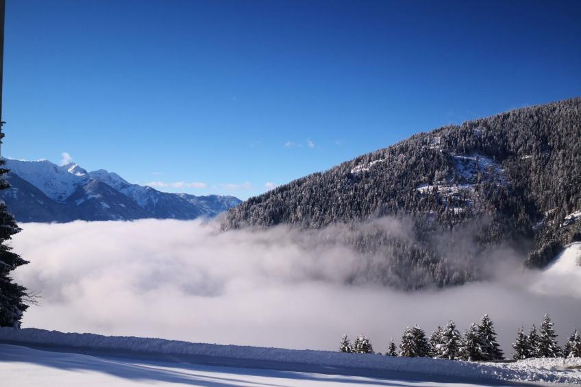 Almhütte Enzian - foto 45