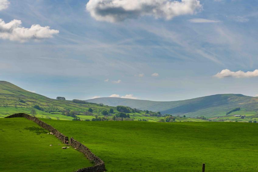 Shepherds Cottage at Mile House Farm - foto 28