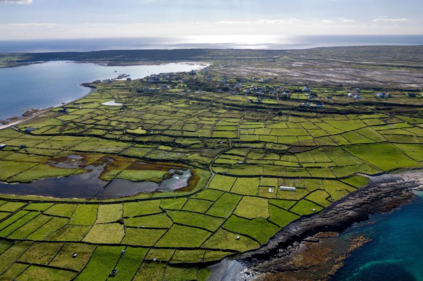 Spanish Point El Martins - foto 7