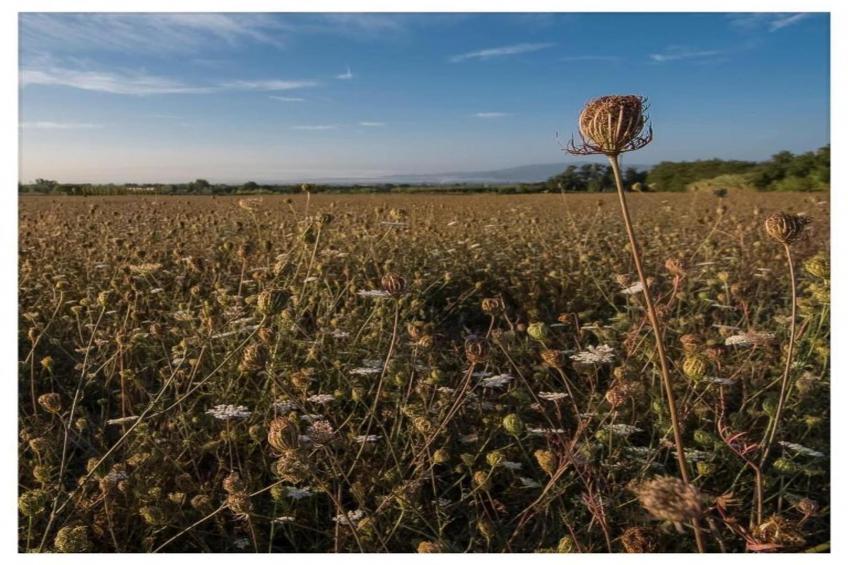Saliceto Bilocale - foto 17