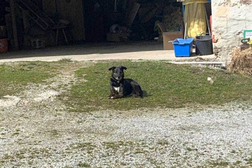 Wandlhof Ferienwohng - foto 16