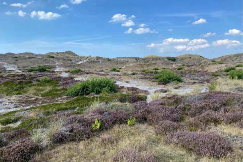 De Veldwachter - foto 17