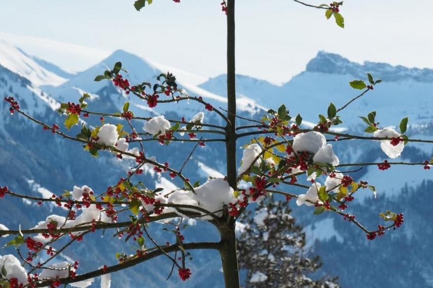 Ferien im Luegisland - foto 16