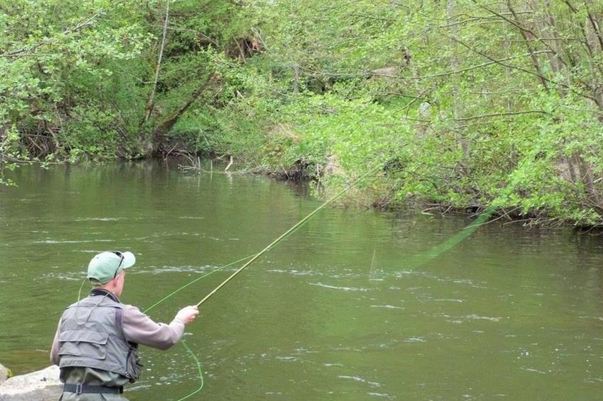 Idealer Erholungsort - foto 17