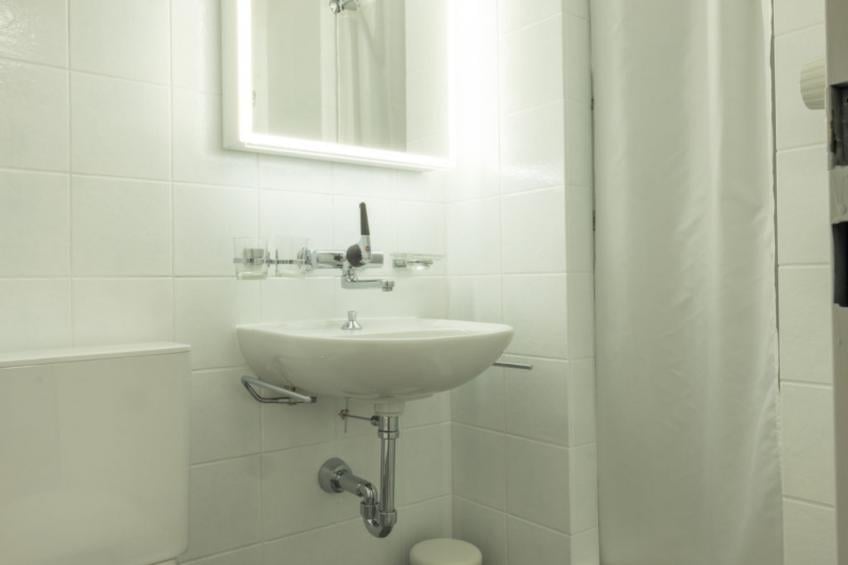 Edelweiss Pany, (Pany), edelweiss_pany - foto 11
