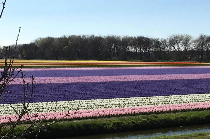 't Zeepaardje - foto 38