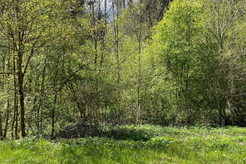 Haus Sonnenschein - foto 45