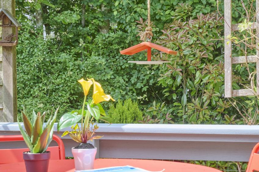 Huisje Joep - foto 12