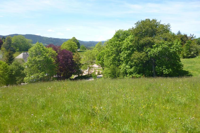 Luxus-Appartement in Kappel - foto 14