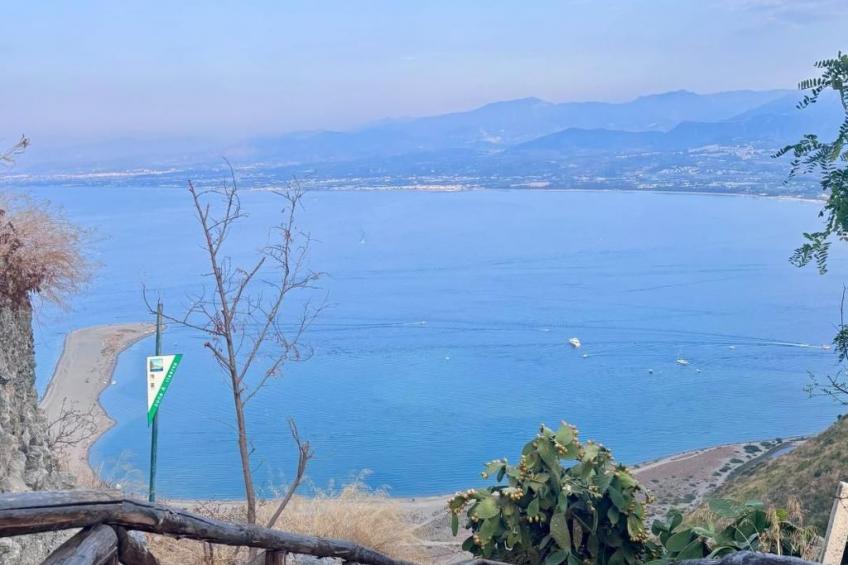 'The Garden - foto 45