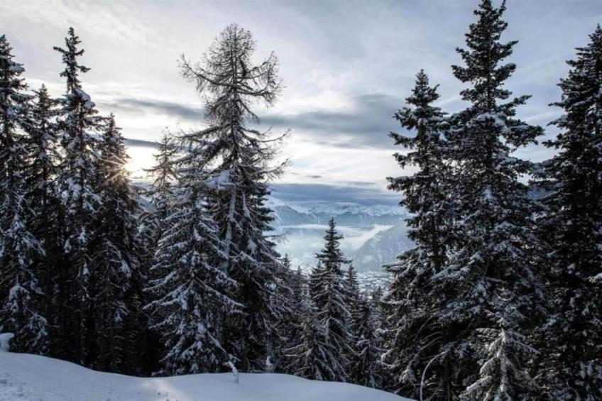 Paradis Perdu SKI IN & QUIET chalet 14 personnes - foto 39