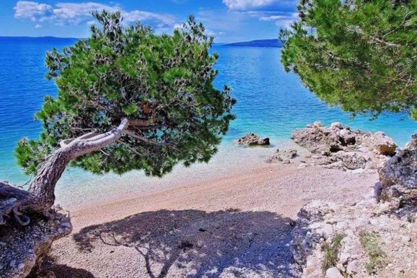 Wenn Sie in der Nähe des Strandes sein wollen, sind Sie dort. - foto 25