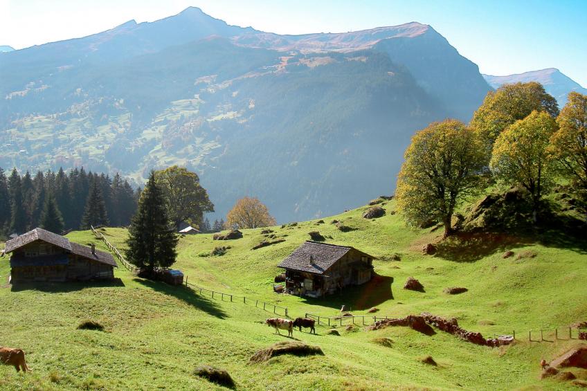 Eiger - foto 30