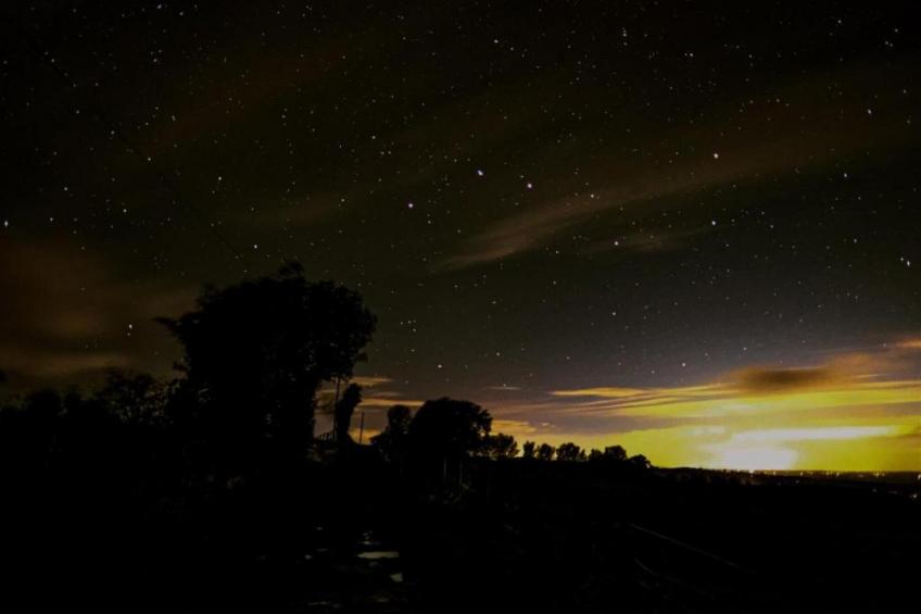 Netley Hall - Thyme - foto 22