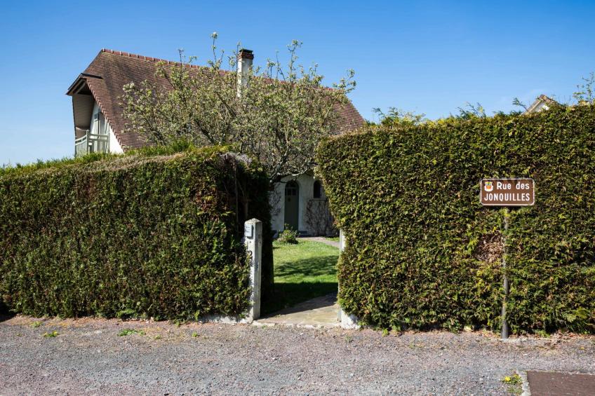Les Jonquilles - foto 29