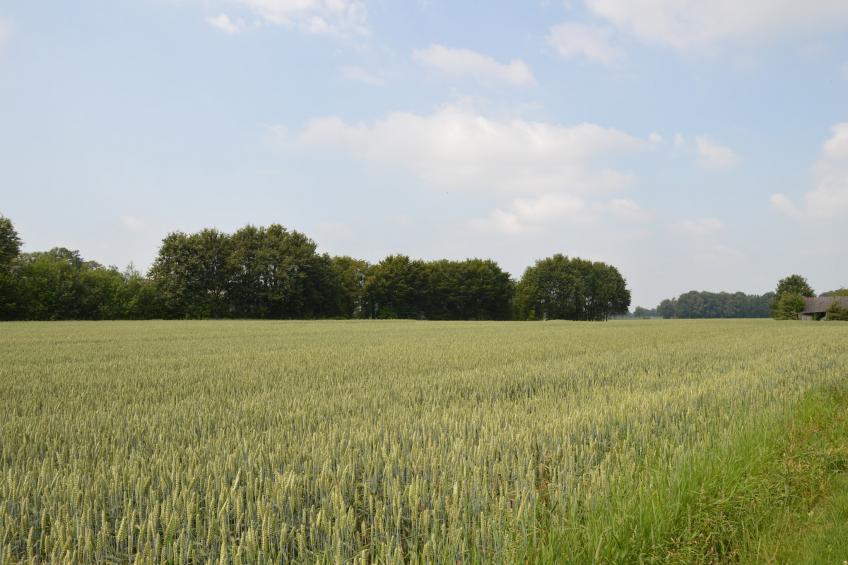 Broodkast - foto 31