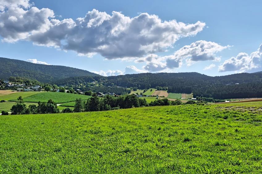 Böhmerwald Pur2 - foto 75