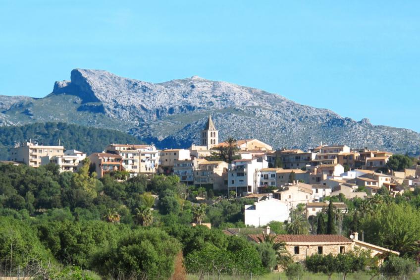 Pla de Ses Rotes - foto 46