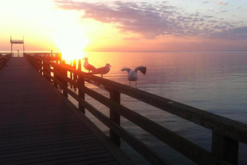 Im Lindenring - foto 32