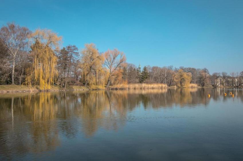 Little Hanoi - foto 27