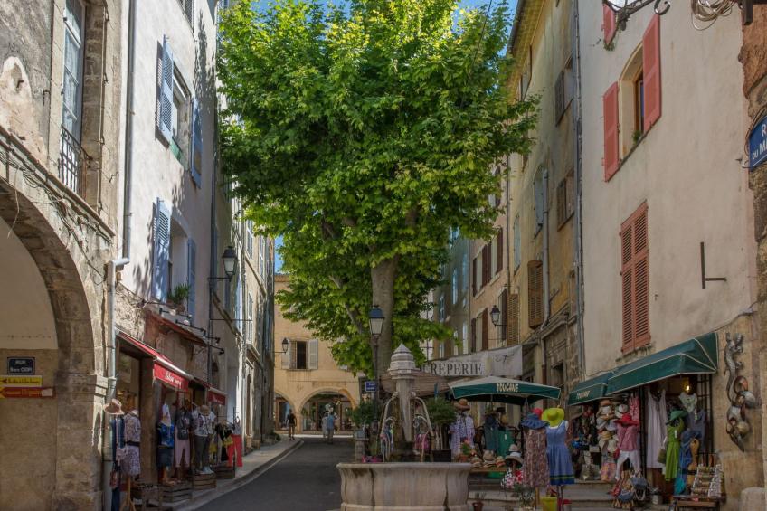 les amandiers - foto 32