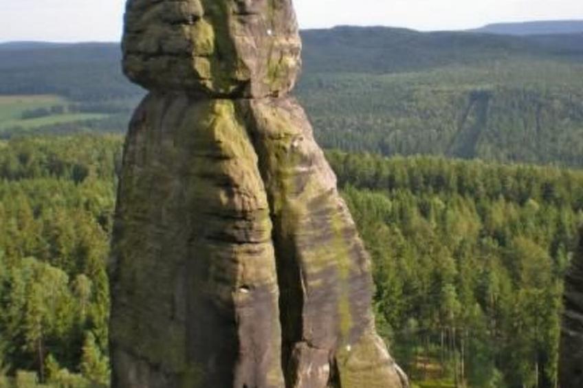 Fewo Natur und Kunst - foto 39