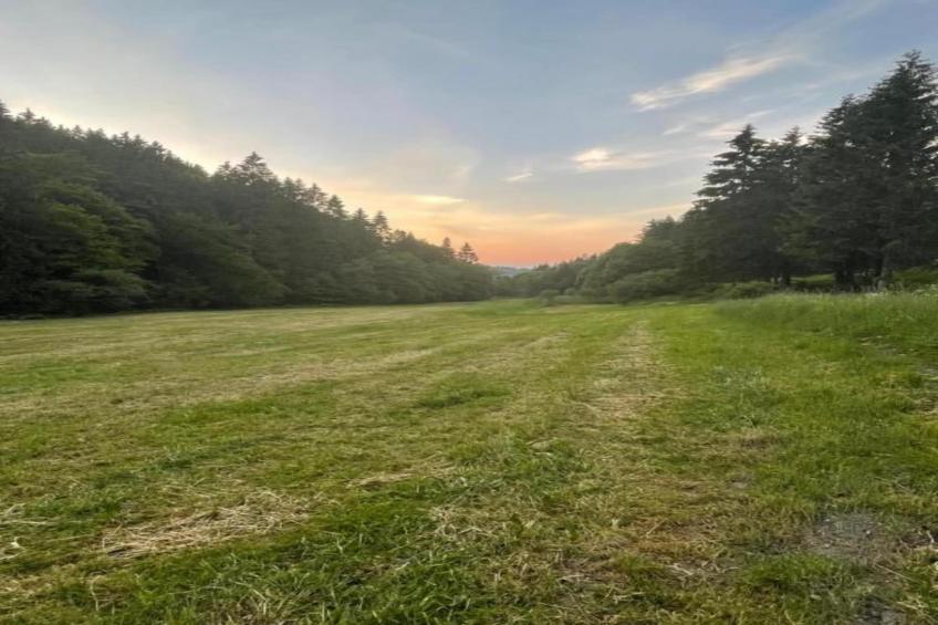 Brouwer Ferienhaus - foto 31