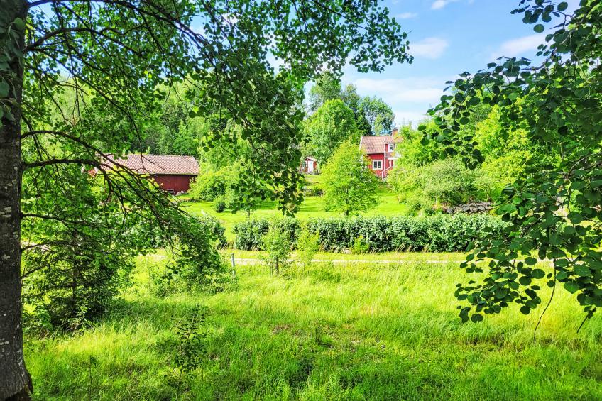 Äppelgården - foto 16