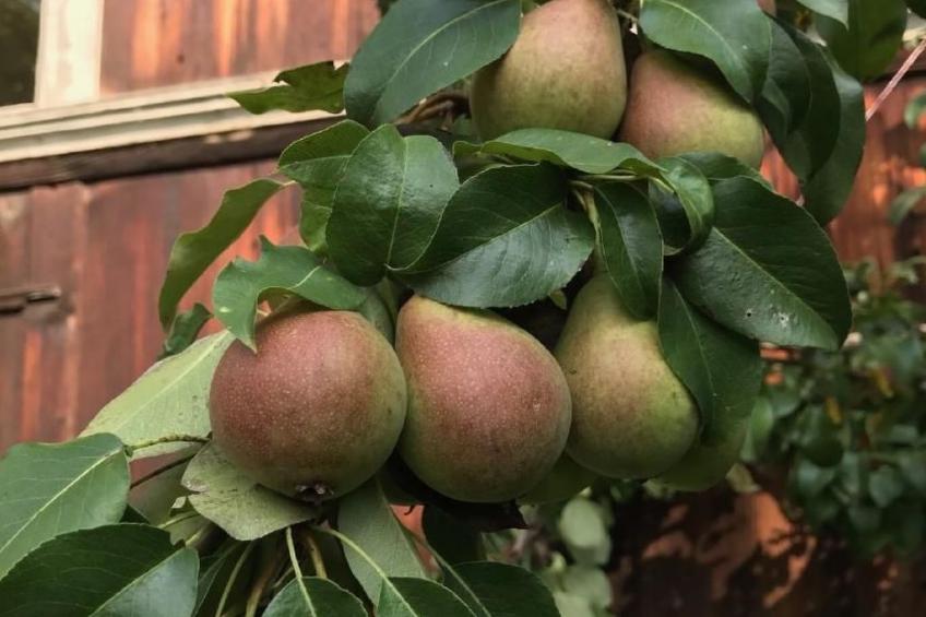 Altes Schulhaus - foto 34