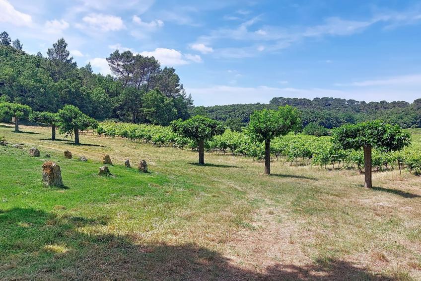 Chateau Payan - foto 52