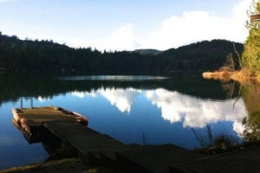 Lakeside Real Log Cabin mit privatem Dock, Haustiere OK - foto 19