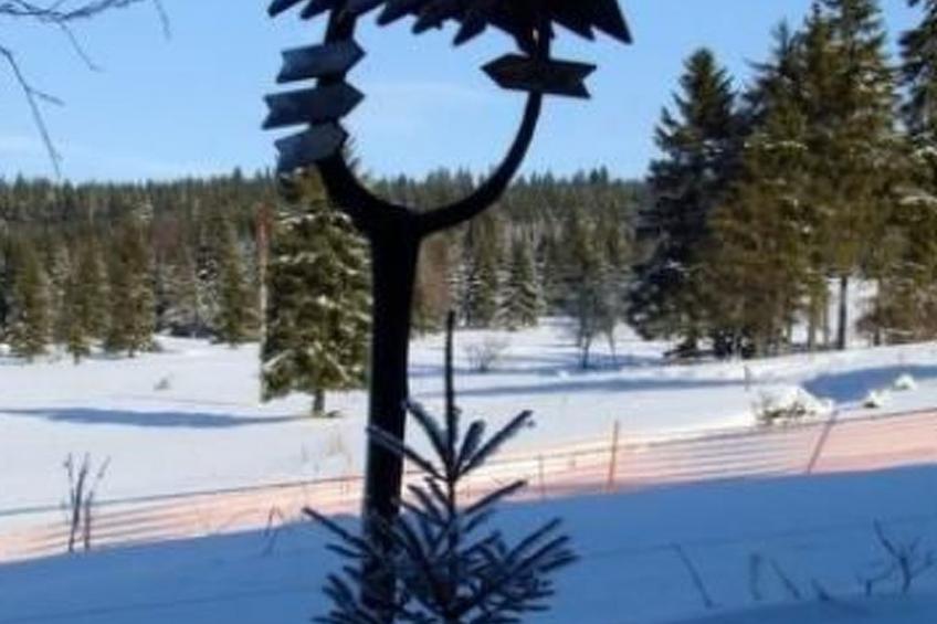 U SEMUSHKY Apartment 3 - foto 11