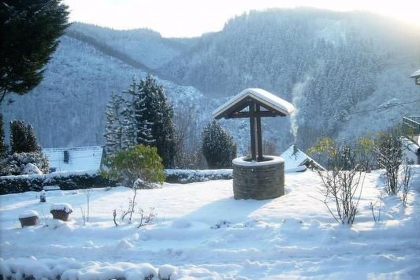 in Waldbreitbach mit Whirlpool - foto 30