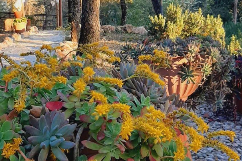 Drei-Zimmer-Wohnung im Bauernhaus - foto 3