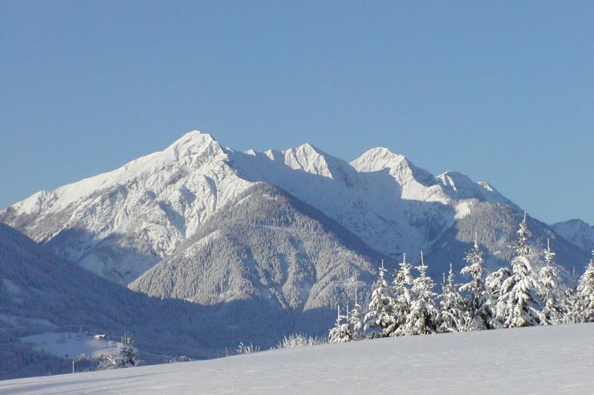 Waldpension in Steinfeld - foto 7