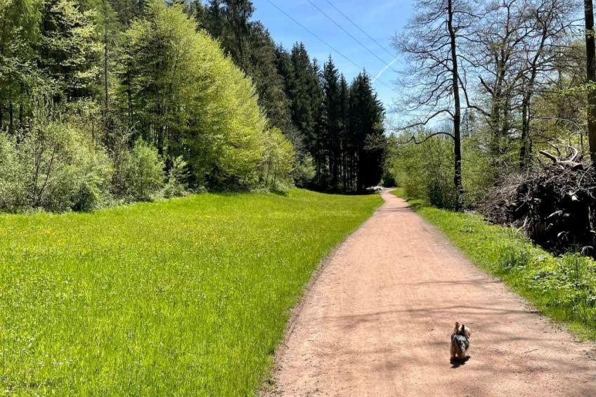 Haus Sabine - foto 10